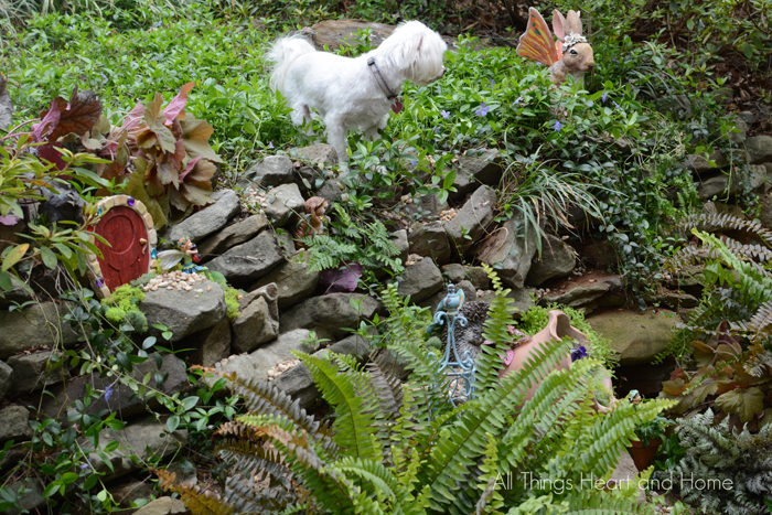 fairy-garden