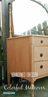  Abandoned Dresser Gets a Colorful Makeover